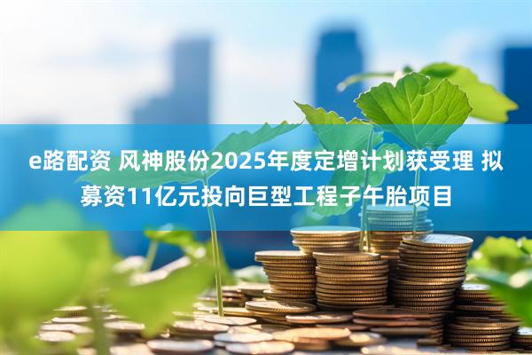 e路配资 风神股份2025年度定增计划获受理 拟募资11亿元投向巨型工程子午胎项目