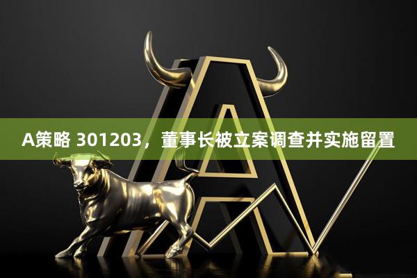A策略 301203，董事长被立案调查并实施留置