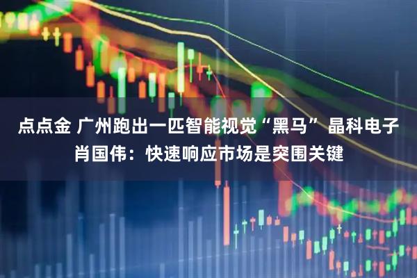 点点金 广州跑出一匹智能视觉“黑马” 晶科电子肖国伟：快速响应市场是突围关键