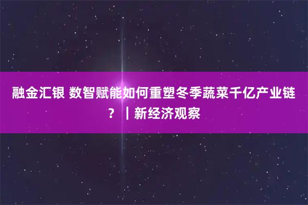 融金汇银 数智赋能如何重塑冬季蔬菜千亿产业链？｜新经济观察
